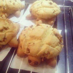 IMG_20140406_161735[1]